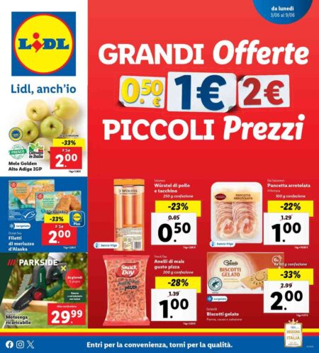 Volantino Lidl dal 3 al 9 giugno 2024
