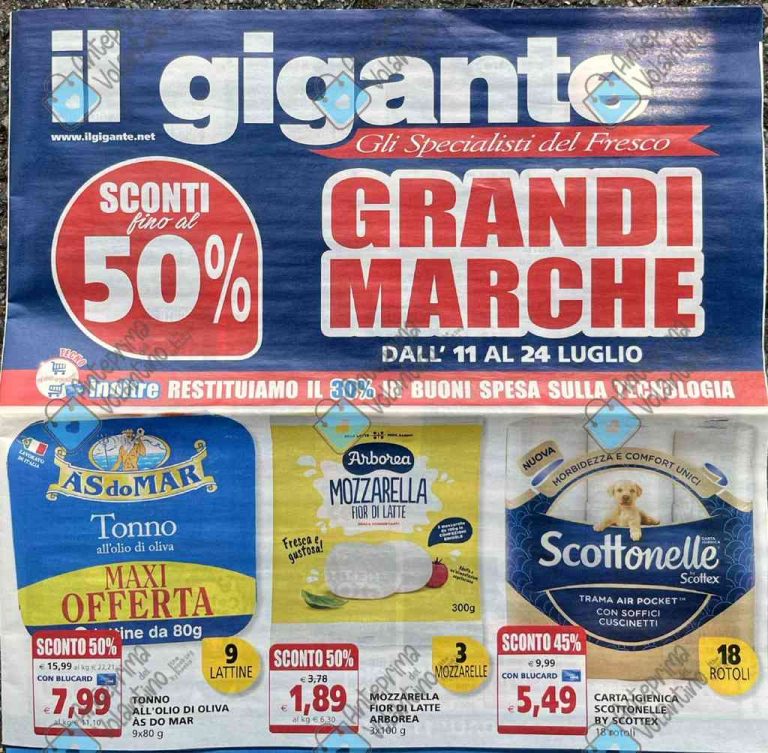 Volantino Il Gigante dal 11 al 24 luglio 2024