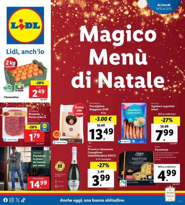 Volantino Lidl dal 16 al 22 dicembre 2024
